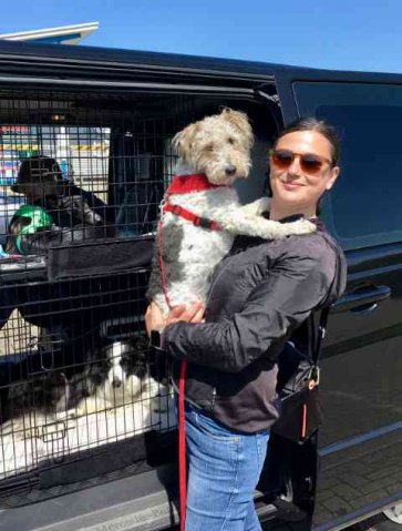 Chantal with Mia & Bruno (bottom bunk) on their journey from Shifnal in Shropshire, UK to their home in Madrid, Spain.